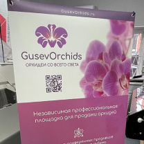 Х-Баннер Орхидеи